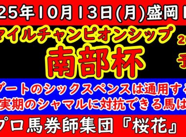 マイルチャンピオンシップ南部杯2025レース予想！ダートのマイル頂上決戦はシャマルが中心視！サンライズジパングやウィルソンテソーロに加え初ダートのシックスペンスがどこまで対応できるか注目！
