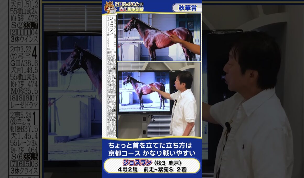 【2025年 秋華賞】紫苑Ｓ２着の良血ジョスランの馬体診断　 #shorts #競馬 #予想