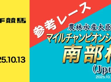 重賞レース参考VTR【マイルチャンピオンシップ南部杯】
