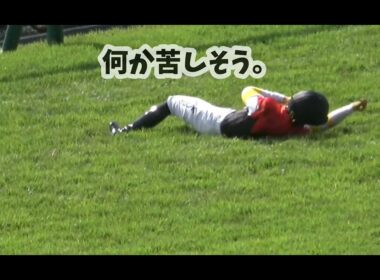【競馬】川田将雅落馬！菊花賞のりかわり‼️メリオーレムは藤岡騎手へ‼️怪我は大丈夫か？