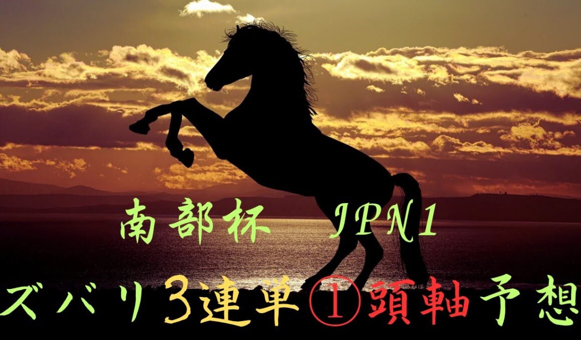 南部杯　Jpn1  ズバリ3連単1頭軸予想　ラジオ風