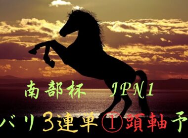 南部杯　Jpn1  ズバリ3連単1頭軸予想　ラジオ風