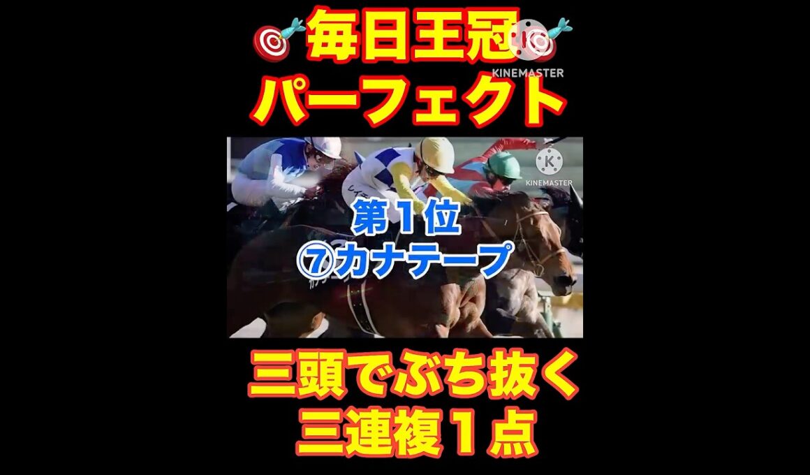 【アイルランドトロフィー】今日の負けは明日取り返す...#アイルランドトロフィー #スワンステークス #秋華賞 #競馬 #競馬予想