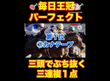 【アイルランドトロフィー】今日の負けは明日取り返す...#アイルランドトロフィー #スワンステークス #秋華賞 #競馬 #競馬予想