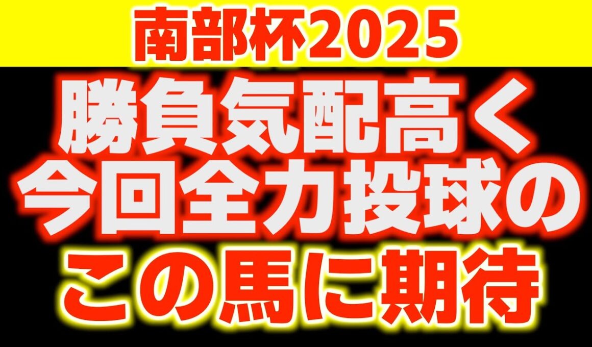 【マイルチャンピオンシップ南部杯2025】今年はハイレベルなメンバー揃った！各馬を徹底分析した結果見えた結論！