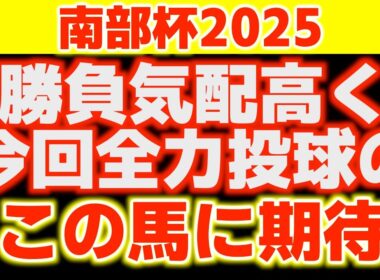【マイルチャンピオンシップ南部杯2025】今年はハイレベルなメンバー揃った！各馬を徹底分析した結果見えた結論！