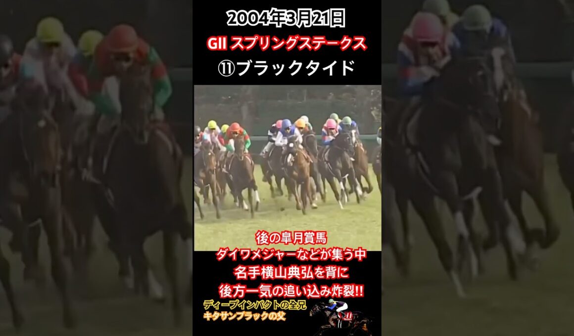 後の皐月賞馬ダイワメジャーなどが集う中、名手横山典弘を背に後方一気の追い込み炸裂でスプリングSを制覇‼︎ #競馬 #ブラックタイド #横山典弘 #ディープインパクト #shorts