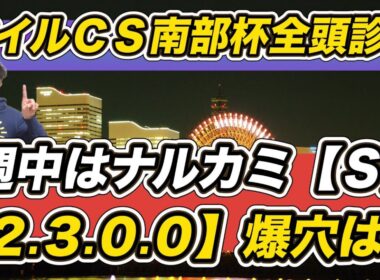 【マイルチャンピオンシップ南部杯2025】シャマル＆シックスペンスでS評価は？「2.3.0.0」の爆穴候補など全頭診断を予想参考にぜひ！