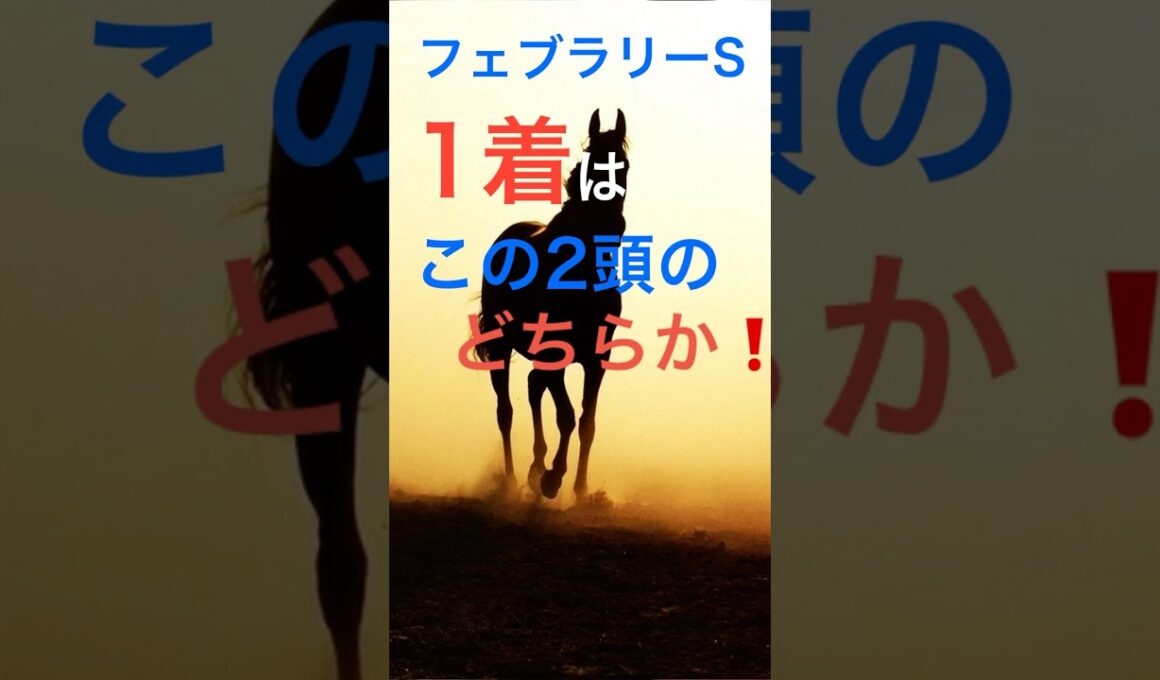 フェブラリーS 1着は⭕️⭕️⭕️で決まり‼️