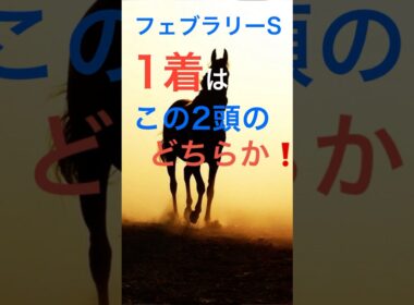 フェブラリーS 1着は⭕️⭕️⭕️で決まり‼️