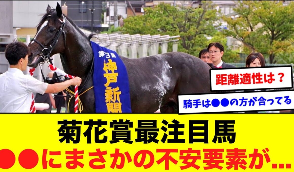 菊花賞有力馬エリキングのネット民の評価がヤバすぎるｗに対するネット民の反応集【競馬】