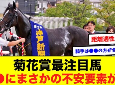 菊花賞有力馬エリキングのネット民の評価がヤバすぎるｗに対するネット民の反応集【競馬】