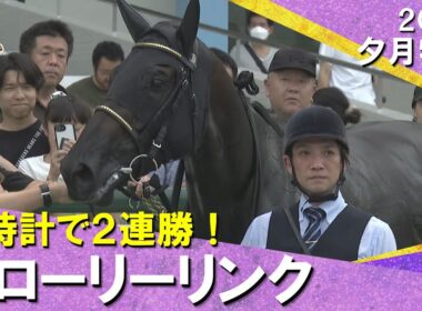 【グローリーリンクが好時計で２連勝！】吉岡調教師「秋華賞も選択肢の一つ」2025年9月20日(土) 夕月特別　阪神芝2000m　実況：川島壮雄【カンテレ公式】