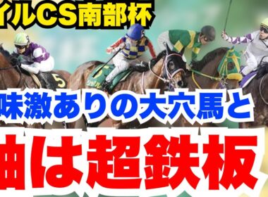 【南部杯】超自信あり！軸は一択の選択肢！元騎手最終見解