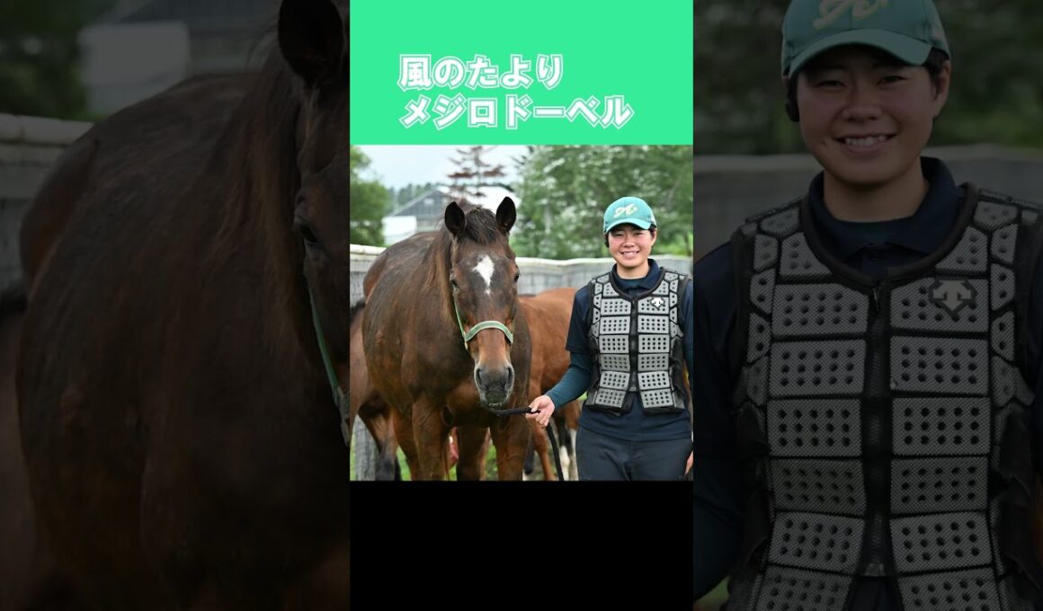 【風のたより】メジロドーベル　1997年秋華賞勝ち馬