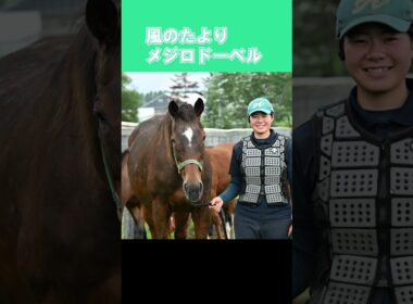 【風のたより】メジロドーベル　1997年秋華賞勝ち馬