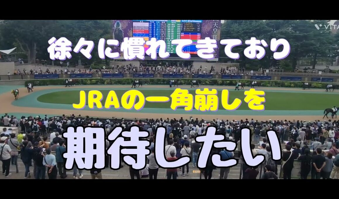 マイルチャンピオンシップ南部杯(JpnI)の予想