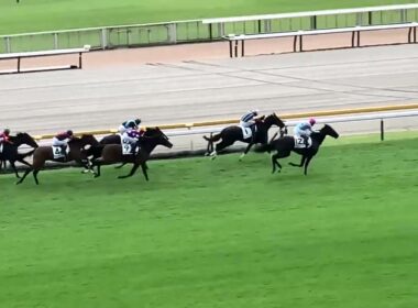 東京競馬場 5階指定席～イクイノックス全妹～4コーナー 2025.10.12