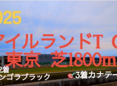 【アイルランドトロフィー  2025】🎯2アンゴラブラック🎯3着カナテープ  エリザベス女王杯へ向けて‼︎古馬牝馬路線の主役に辿り着く馬は⁉︎3日間開催2日目は牝馬限定戦‼︎競馬予想チャンネル