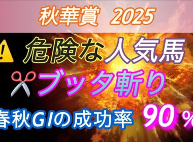 【秋華賞 2025 予想】　⚠️危険な人気馬のブッタ斬り✂️