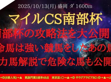 【 最終結論 】マイルチャンピオンシップ南部杯 2025 予想 南部杯の攻略法を大公開！！本命馬は強い競馬をしたあの馬！！有力馬解説で危険な馬も公開！！【地方競馬予想】