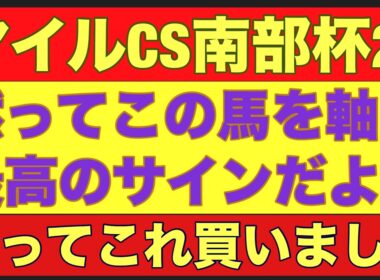 【マイルチャンピオンシップ南部杯2025】のサイン軸馬予想！