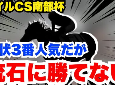 【南部杯】現状3番人気だが流石に勝てません！絶対消し！