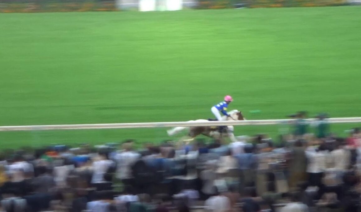 東京１３Ｒは第15回ジョッキーベイビーズが行われる！子供たちの熱い戦いがある！過去には角田大和騎手や斎藤新騎手も優勝経験があるレースで勝ったのは誰だ！？表彰式までお送りします！