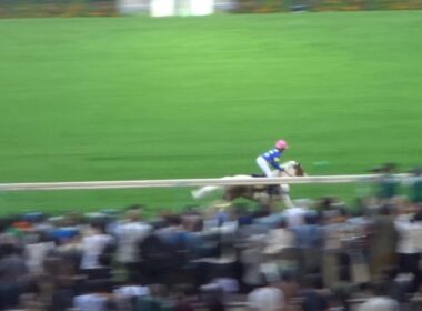 東京１３Ｒは第15回ジョッキーベイビーズが行われる！子供たちの熱い戦いがある！過去には角田大和騎手や斎藤新騎手も優勝経験があるレースで勝ったのは誰だ！？表彰式までお送りします！