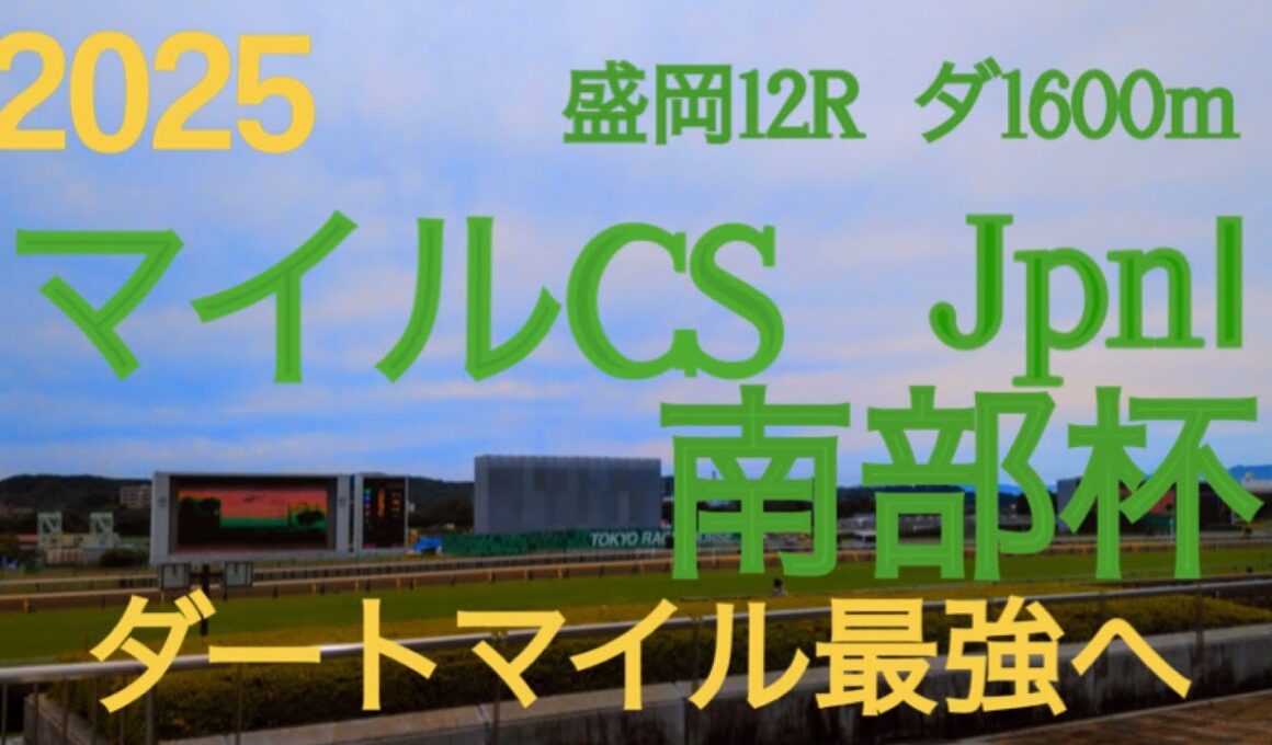 【マイルチャンピオンシップ南部杯  2025】秋のダートマイル王決定戦‼︎ここから年末大一番東京大賞典へと続く熱い戦い‼︎兵庫の星イグナイターラストラン‼︎  地方競馬予想チャンネル