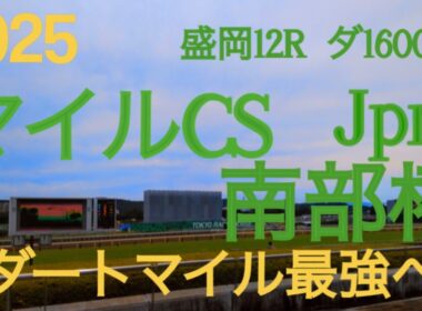 【マイルチャンピオンシップ南部杯  2025】秋のダートマイル王決定戦‼︎ここから年末大一番東京大賞典へと続く熱い戦い‼︎兵庫の星イグナイターラストラン‼︎  地方競馬予想チャンネル