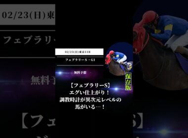 【フェブラリーS】エグい仕上がり！ 調教時計が異次元レベルの馬がいる…！#競馬 #東京競馬 #フェブラリーS #重賞予想 #競馬予想 #無料予想 #競馬好き #馬券 #馬券生活 #競馬情報