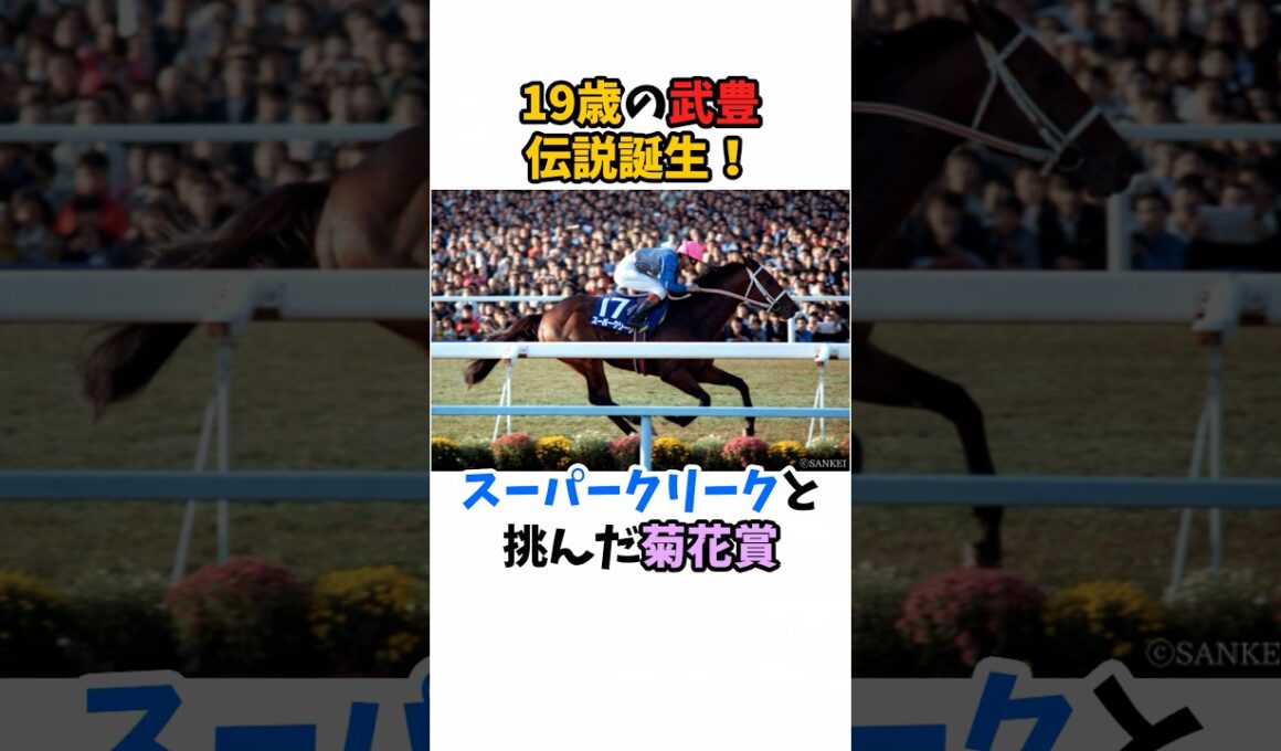 19歳の武豊伝説誕生！スーパークリークと挑んだ菊花賞#競馬 #武豊 #スーパークリーク #ウマ娘シンデレラグレイ