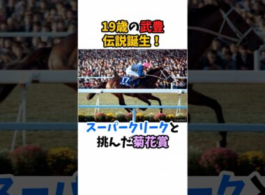 19歳の武豊伝説誕生！スーパークリークと挑んだ菊花賞#競馬 #武豊 #スーパークリーク #ウマ娘シンデレラグレイ