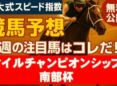 【マイルチャンピオンシップ南部杯２０２５】東大式スピード指数による競馬予想