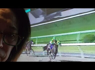 マイルチャンピオン南部杯 2025 回顧