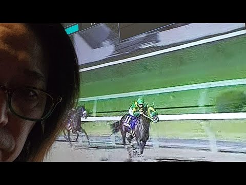 マイルチャンピオン南部杯 2025 回顧