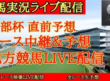 【地方競馬ライブ配信】マイルCS南部杯 直前予想 レース中継 【たく 競馬予想ch】