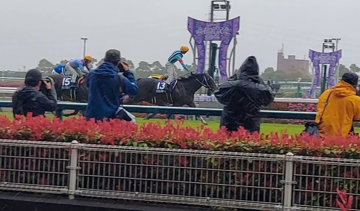 2023年第53回高松宮記念　優勝馬ファストフォース号