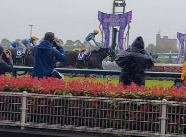 2023年第53回高松宮記念　優勝馬ファストフォース号
