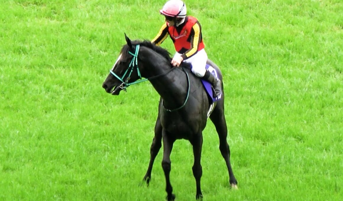 【ヴィクトリアマイル2025】アスコリピチェーノ GⅠ勝利を嚙み締めたくて帰りたくないと後ろ歩き 現地映像 ウイニングラン