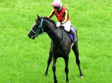 【ヴィクトリアマイル2025】アスコリピチェーノ GⅠ勝利を嚙み締めたくて帰りたくないと後ろ歩き 現地映像 ウイニングラン