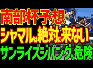 【南部杯予想】絶対に勝つ！ペプチドナイル！ブラックナイト藤岡の有終の美！レモンポップとやりあったこの馬の能力と藤岡佑介を信じろ！2025年マイルチャンピオンシップ南部杯予想動画【競馬ゆっくり】