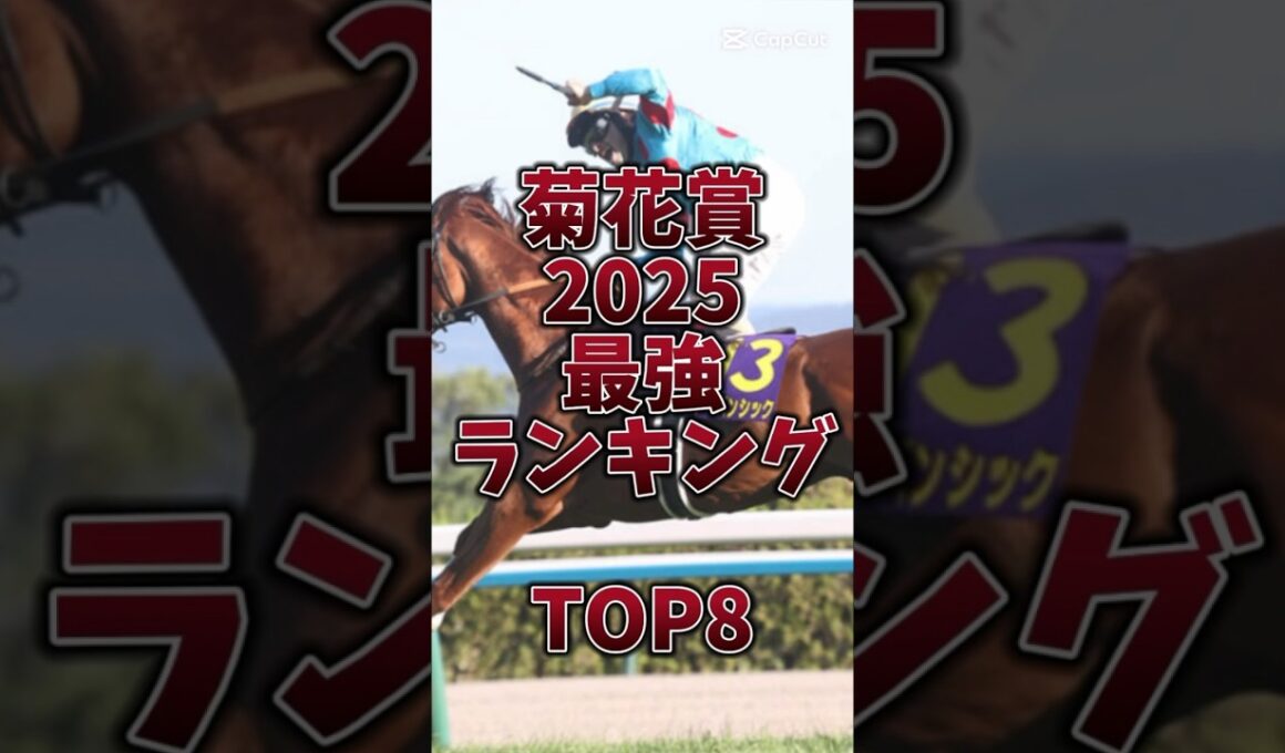 【菊花賞2025】🎯長距離は意外と簡単!?大穴馬にもチャンスあり混戦模様‼️ #菊花賞 #菊花賞2025 #エネルジコ #エリキング