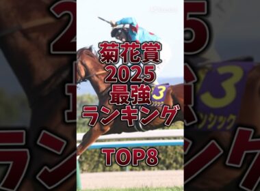 【菊花賞2025】🎯長距離は意外と簡単!?大穴馬にもチャンスあり混戦模様‼️ #菊花賞 #菊花賞2025 #エネルジコ #エリキング