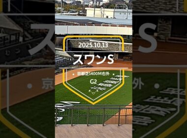 【スワンS 2025】上位5頭予想！マイルチャンピオンシップの前哨戦、スワンステークスの開催です。アドマイヤズーム、ムイ、ショウナンザナドゥらが出走。