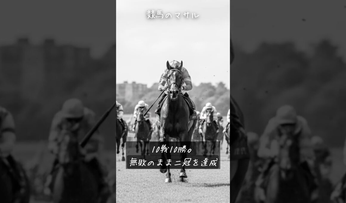 【生きていれば…幻の馬】トキノミノル。無敗かつレースの7割がレコードだった化物  #伝説の名馬  #競馬 #トキノミノル