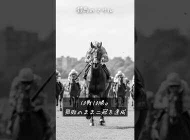 【生きていれば…幻の馬】トキノミノル。無敗かつレースの7割がレコードだった化物  #伝説の名馬  #競馬 #トキノミノル