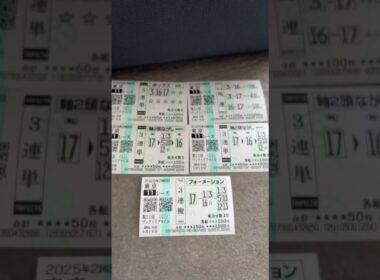 ヴィクトリアマイル　2025 購入馬券‼️今日は久々に中京競馬場に遊びにきました^ - ^#ヴィクトリアマイル #shorts #ヴィクトリアマイル2025