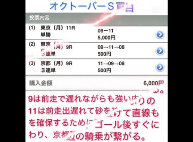 スワンＳ・オクトーバーＳ・蹴上特別・マイルCS南部杯 予想 買い目 2025年